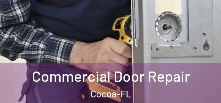 Commercial Door Repair Cocoa-FL